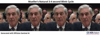 mueller.jpg mueller.jpg