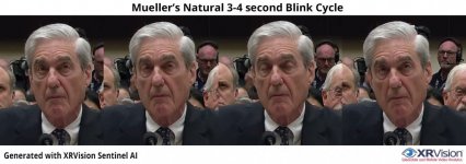 mueller.jpg