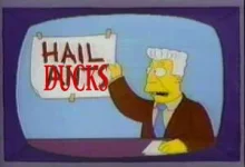 hailducks.webp
