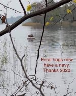 feral hogs navy.jpg