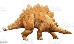 Stegosaur stock photo.jpg