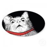 surprised_cat_gasp_meme_oval_stickers-p217700472065376165bahz5_400.jpg