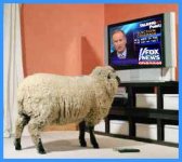 Sheeple Watch Fox News.jpg