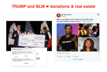 (4x6 PC) TRUMP and BLM have common interests.png