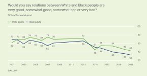 race_relations_gallup.jpg