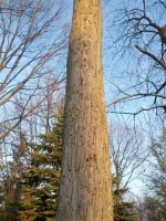IMG_20121129_162112.webp