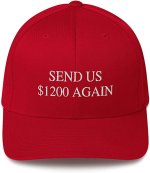 Maga hat.jpg