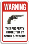 ee087s - protected smith and wesson.jpg