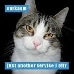 sarcasm.webp