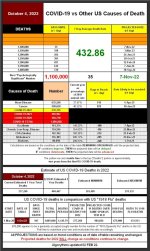 22-10-04 A2 - COVID vs Other Causes TABLE.JPG