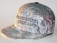 Maga tinfoil hat.jpg