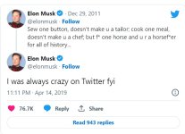 Musk 4.jpg