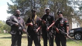 BLM Armed #3.jpg