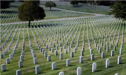 jan 6 human cost.webp