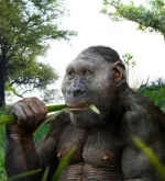 image_1680-Paranthropus-boisei.webp
