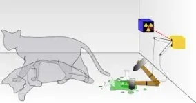 SCHRIDINGERS CAT SURVIVAL.webp