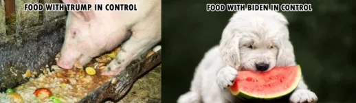 foodpartyincontrol.webp
