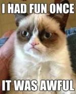 I-Had-Fun-Once-It-Was-Awful.webp