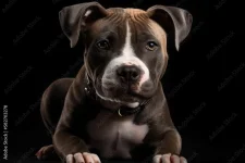 1000_F_582703278_WQB61WZoCIHjIpolGOfJFsehJso2aEu7.webp