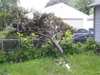 2013-06-21 08.21.33.webp