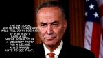 schumer - immigration - frame 1.jpg