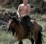 Shirtless Putin.jpg