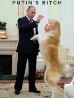 Trump and Putin.jpg
