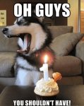 funny-husky-dog-birthday-cake.jpg