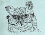 art-bird-drawing-glasses-hipster-owl-Favim_com-63324.jpg