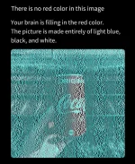 443277497_794902182595878_996180813070887097_n.webp