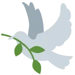 dove.webp