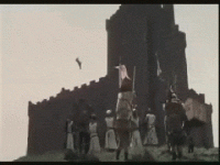 IMG_7370.gif