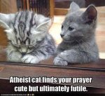 atheist_cat.jpg