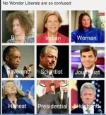 Dems_Confusd.webp