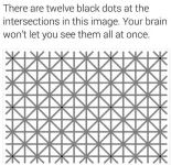 1731785270812.webp