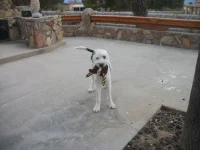 1732591574891.webp