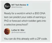 1733839019608.webp