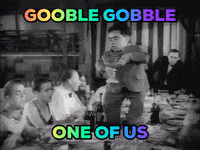 IMG_1434.gif