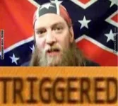 triggered2.webp