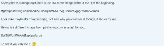 ss4.jpg