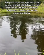 1000030704.webp
