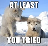 atleastyoutried.webp