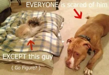 1-photo-u1.webp