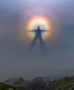 1747780945374.png