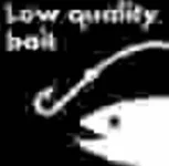 bait2.webp