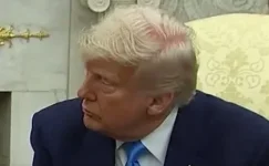 Bald Trump.webp