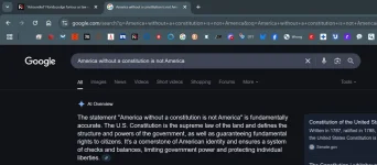 America without Constitution.webp