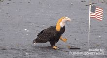 1749501402046.gif