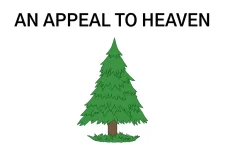 1750373592258.webp