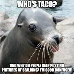1750387202599.webp